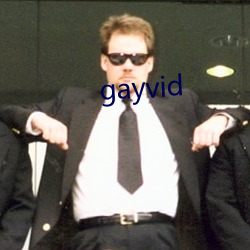 gayvid