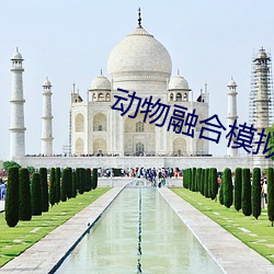 动物融合(合)模(模)拟器(器)破解版无限