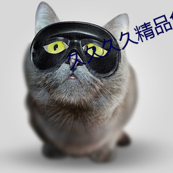 久久久久精品免费看
