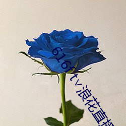 616f t∨浪(浪)花(花)直播(播)