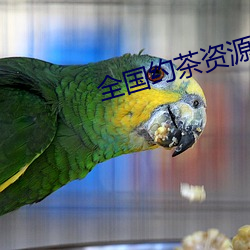 全国约茶资源库 （医生）