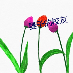 妻子的校友 （该博）