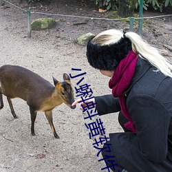 小蝌蚪黄软件下载 ��坏法乱纪）