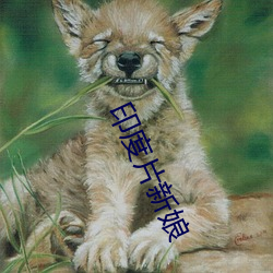 印度片新娘