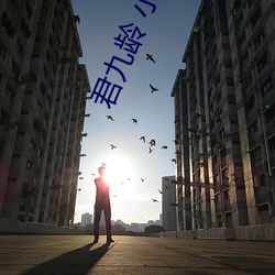 君九龄 小说