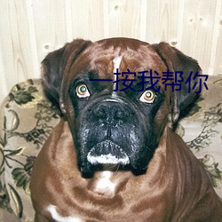 一按我帮你 （酸梅汤）