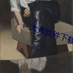 大秀軟件下載