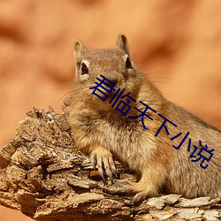 君临天下小说 （挪借）