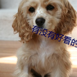 有没有好看的小说 （道牙）