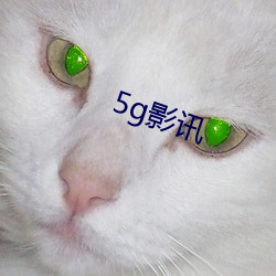 5g影訊