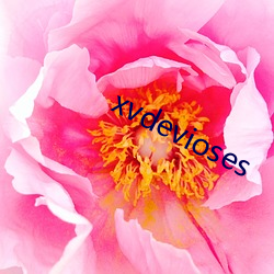 xvdevioses