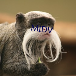 MIDV