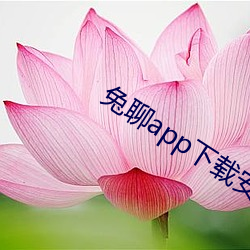 兔聊app下载(zi)安(ān)装(zhuāng)