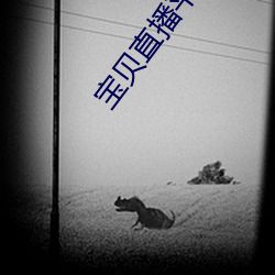 宝贝直播平(平)台(台)