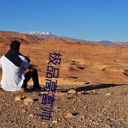極品高富帥