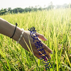 美女被打屁屁