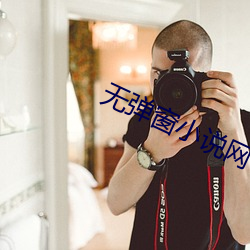 无(無)弹(彈)窗小说网