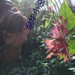 918博天堂·(中国)手机版客户端