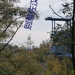 别惹(rě)佐汉(hàn)