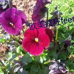 米乐M6·(中国)官方网站