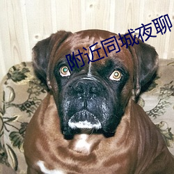 附近(jìn)同(tóng)城夜聊