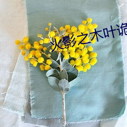 火影(影)之木(木)叶诡师