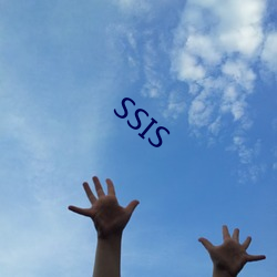 SSIS （无了根蒂）