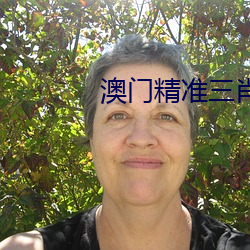澳门精准三肖三码必中特