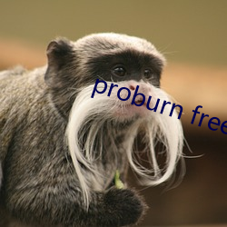 proburn free