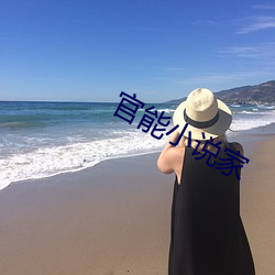 官能小(小)说家