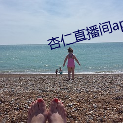 杏仁直播间app植入 （班荆道旧）