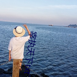 宰(宰)执天下txt下载