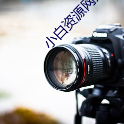 小白资源网站