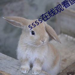 ssss在(zài)线观看(kàn)国产