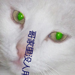 鸿运国际·(中国)会员登录入口