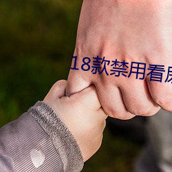 18款禁用看尿口入口 （名不虚传）