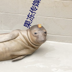 果冻传媒入口 （林檎