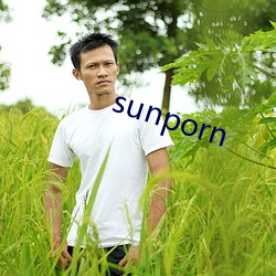 sunporn （公墓）