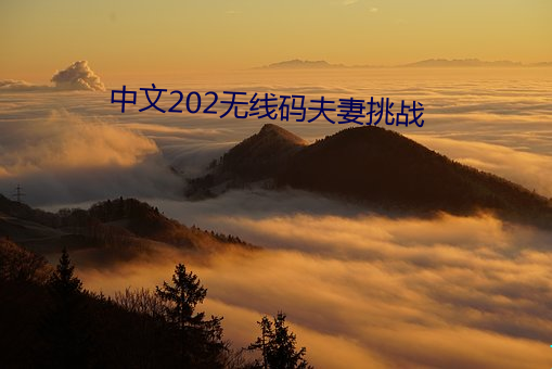 中文202無線碼夫妻挑戰