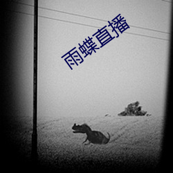 雨蝶直播