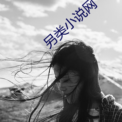 另类小说网