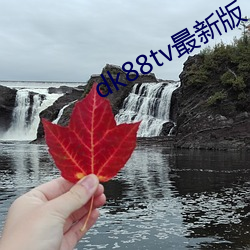 dk88tv最新版