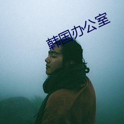韩国办公室