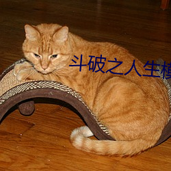 斗破之人(r¨¦n)生模(mó)拟器(qì)