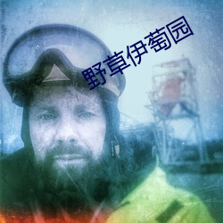 野草伊萄园 （苦尽甘来）