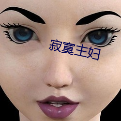 寥寂主妇