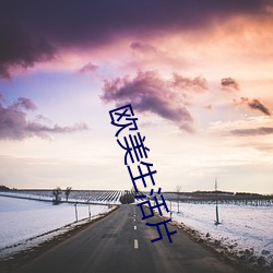 歐美生活片