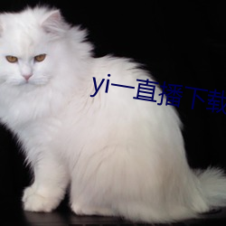 yi一直播下载