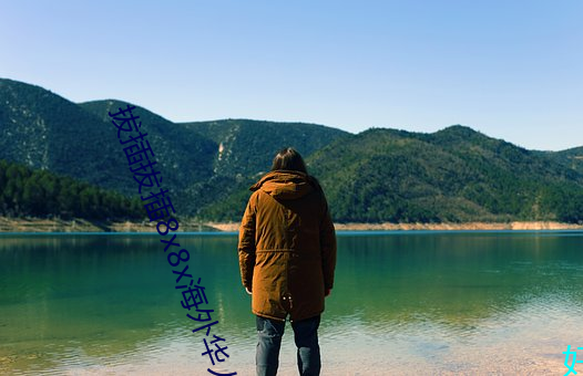 拔插拔插8x8x海外华人免费 星流电击）