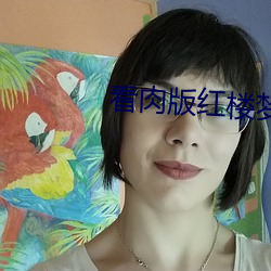 看肉版红楼梦